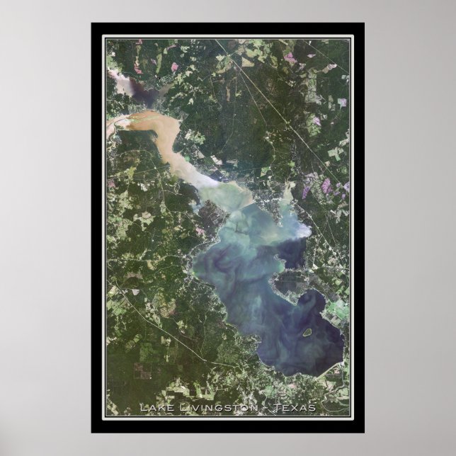 Mapa de Posters por satélite de Lake Livingston Te (Frente)