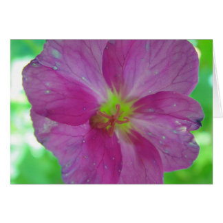 Mapa de saludo floración de juego rosa-amarillo, e