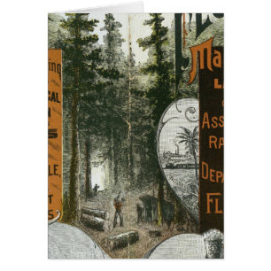 Mapa del municipio, Florida