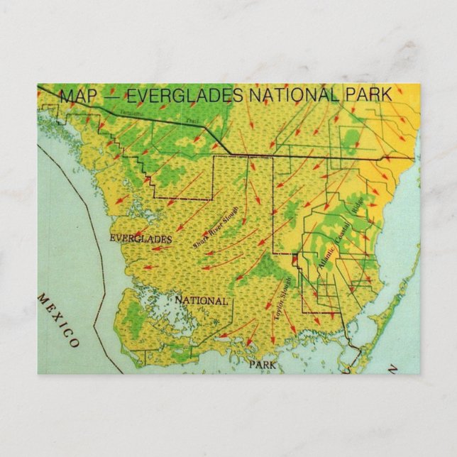 Mapa del Parque Nacional de los Everglades Tarjeta (Anverso)