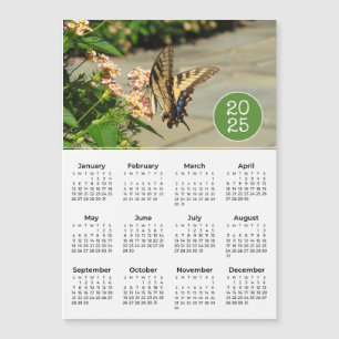 Mapa fotográfico de mariposa del calendario 2025