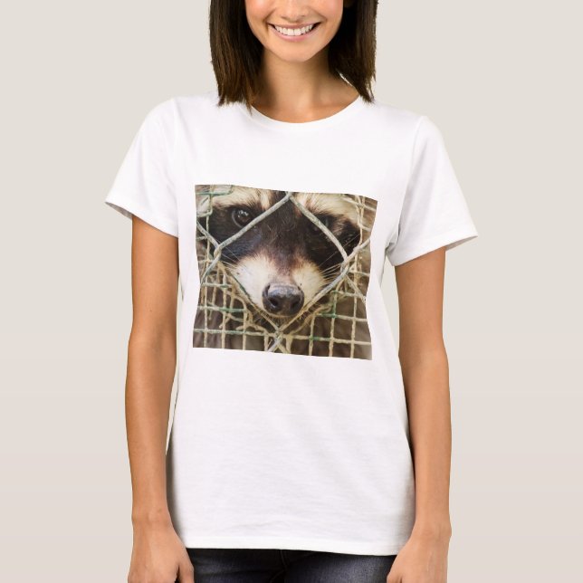 mapache en camisetas (Anverso)