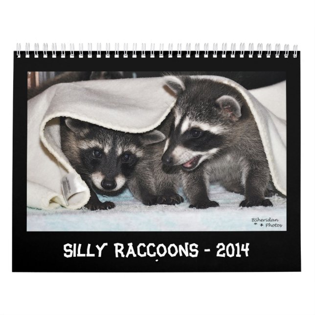 Mapaches tontos - calendario 2014 (Tapa)