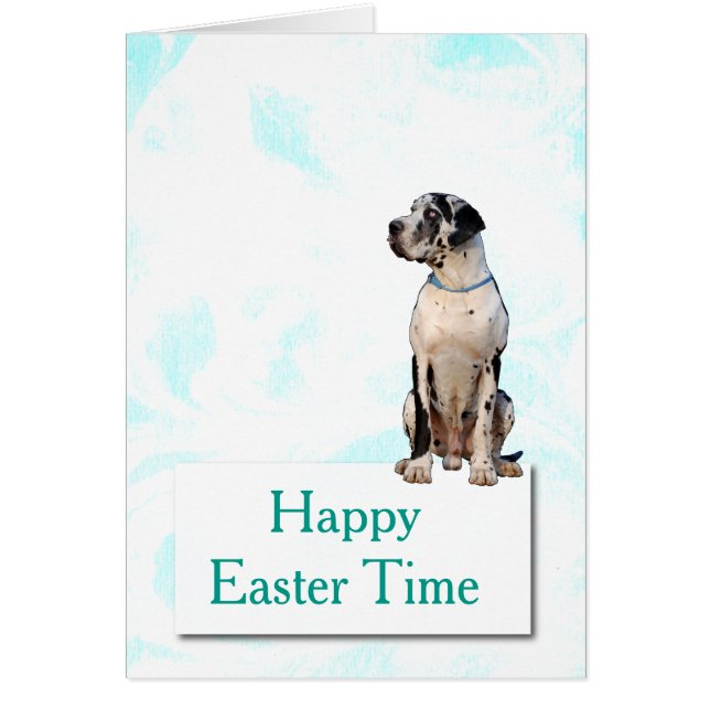 Mapas de perros (Frente)