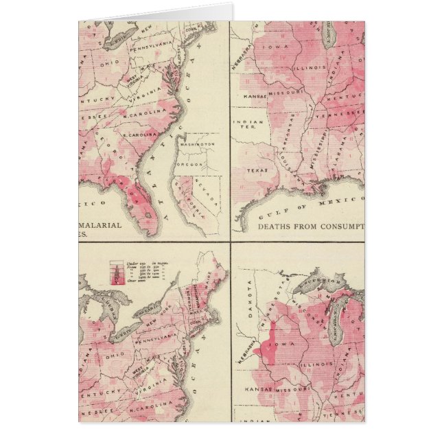 Mapas de vitalidad de Estados Unidos (Frente)