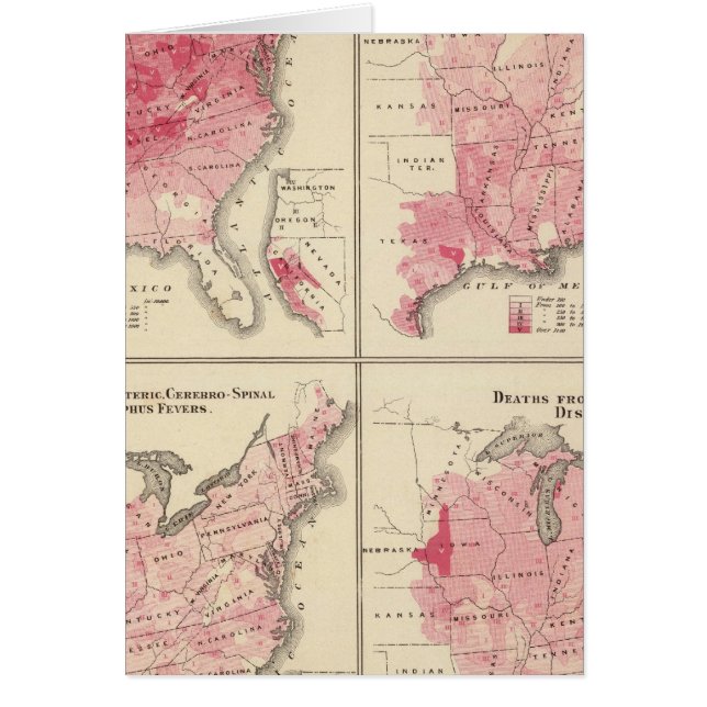 Mapas de vitalidad de Estados Unidos (Frente)