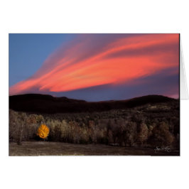 Maple Ablaze al atardecer