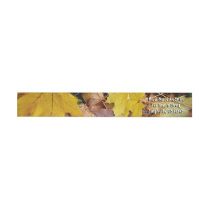 Maple caído deja naturaleza otoño amarilla