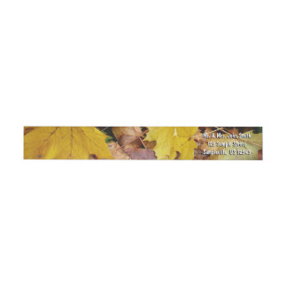 Maple caído deja naturaleza otoño amarilla