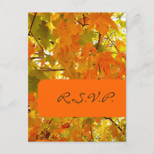Maple Dorado, tarjetas postales de RSVP, para invi