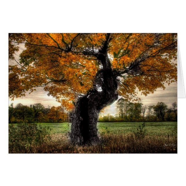 Maple Giant: tarjeta (Anverso (Horizontal))