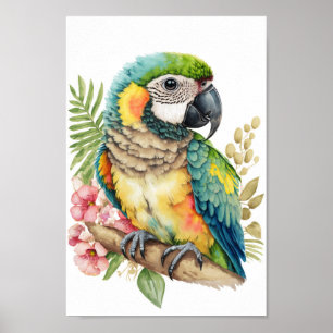 Maqueta de arte de las paredes de aves tropicales