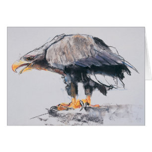 Mar Eagle atado blanco 2001