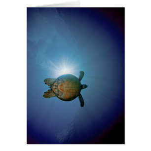 Mar subacuático del Turtle  Andaman, Tailandia