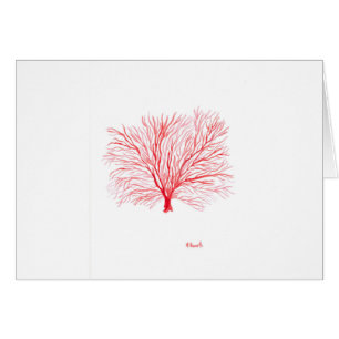 Maravilla de coral rojo