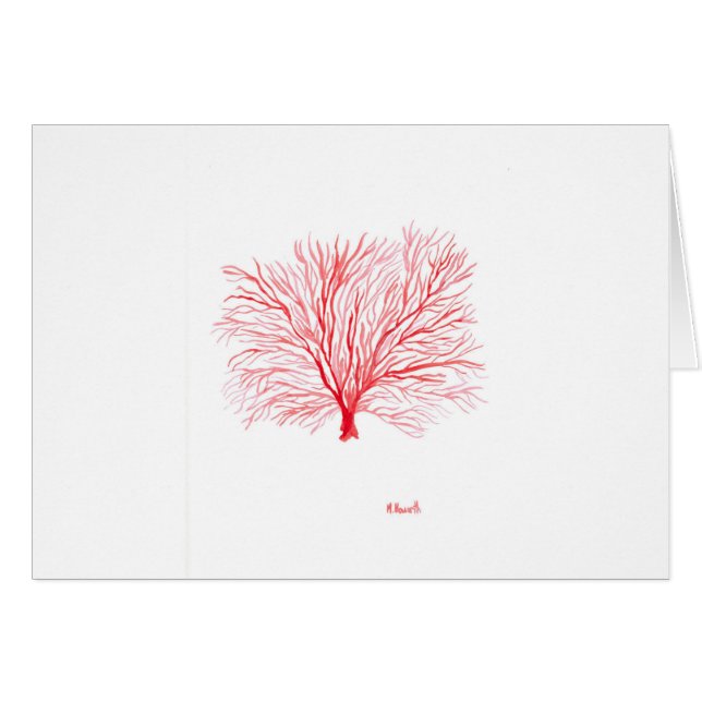 Maravilla de coral rojo (Anverso (Horizontal))