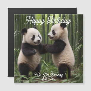 Maravillas caprichosas: Los bebés pandas juegan en