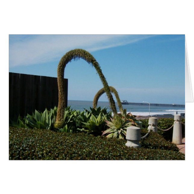 Maravillas florales (Anverso (Horizontal))