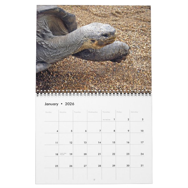 Maravillas naturales del calendario de Australia (Jan 2026)