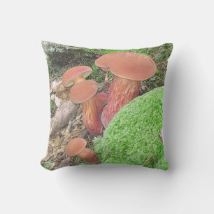 Maravillosa almohada de hongos