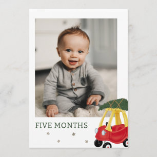 Maravillosa Hora Del Año Tarjeta Fotográfica De Cu