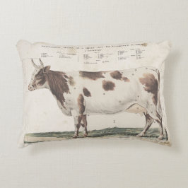 Maravillosa y hermosa almohada de vaca vintage.