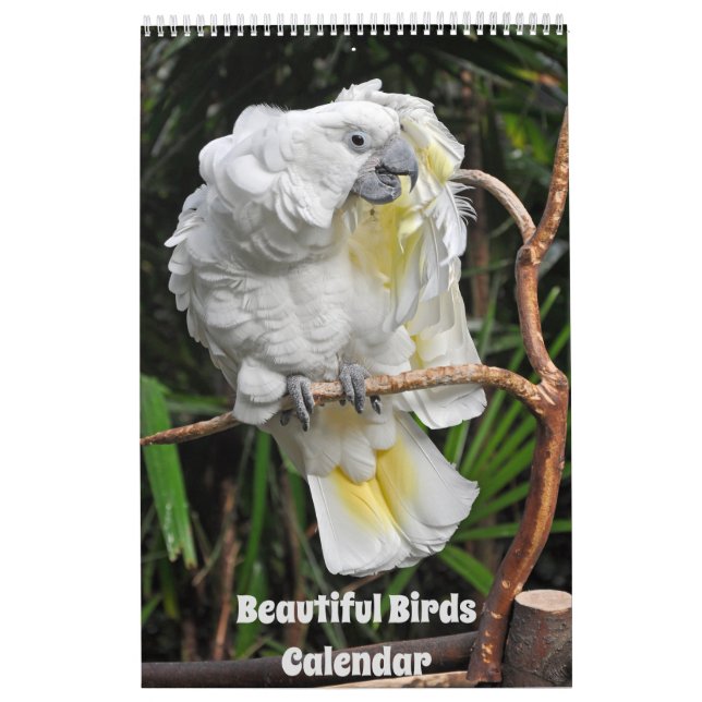 Maravilloso calendario de aves (Tapa)
