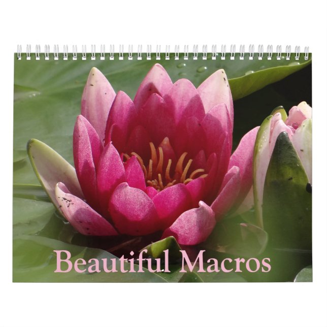 Maravilloso calendario de macros (Tapa)
