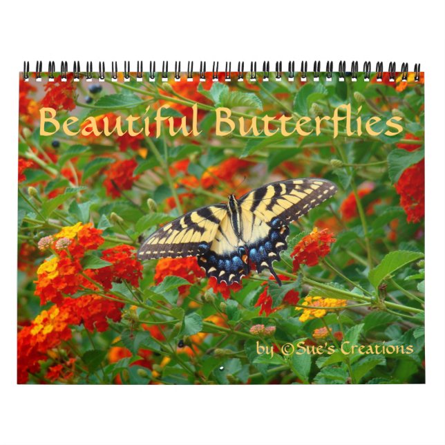 Maravilloso calendario de mariposas (Tapa)