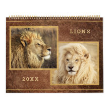 Maravilloso calendario fotográfico de leones