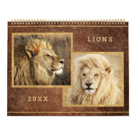 Maravilloso calendario fotográfico de leones