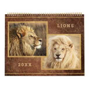 Maravilloso calendario fotográfico de leones