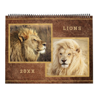 Maravilloso calendario fotográfico de leones