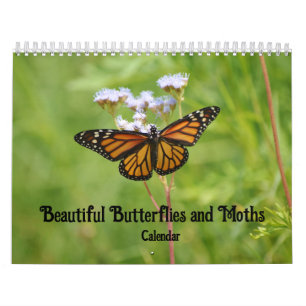 Maravilloso calendario mariposas y polillas