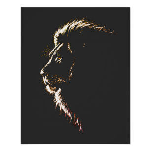 Maravilloso dibujo lateral de un Poster de la cara