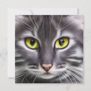 Maravilloso retrato de gato