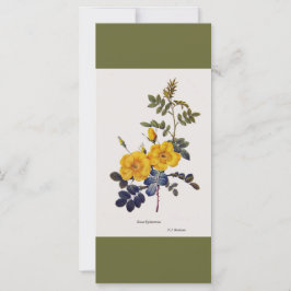 Marca de flores de rosa amarilla de arte botánico 