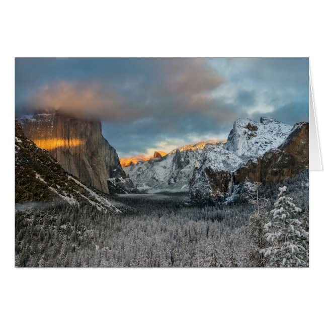 Marca de invierno (Anverso (Horizontal))