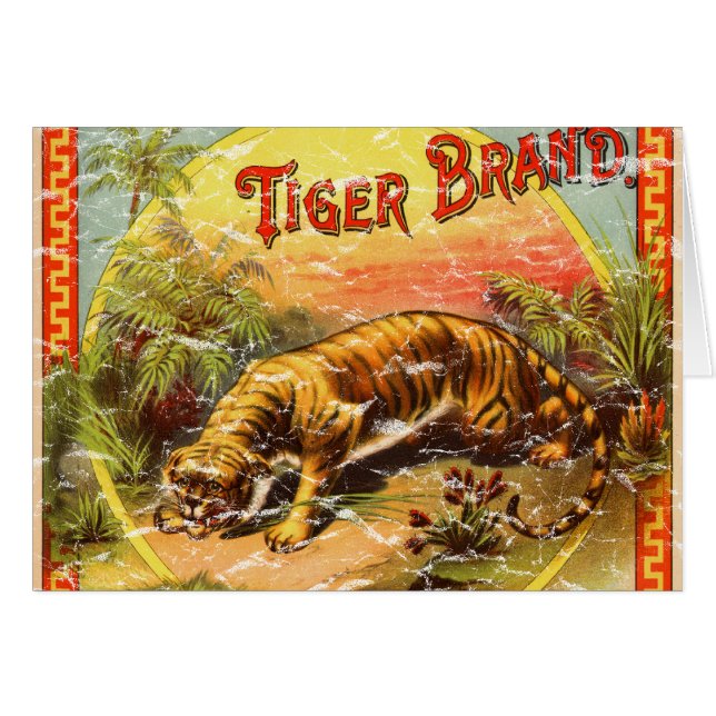 Marca de tigre - angustiada (Anverso (Horizontal))