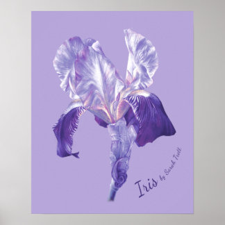 Marca Iris (morado y malva) poster de impresión