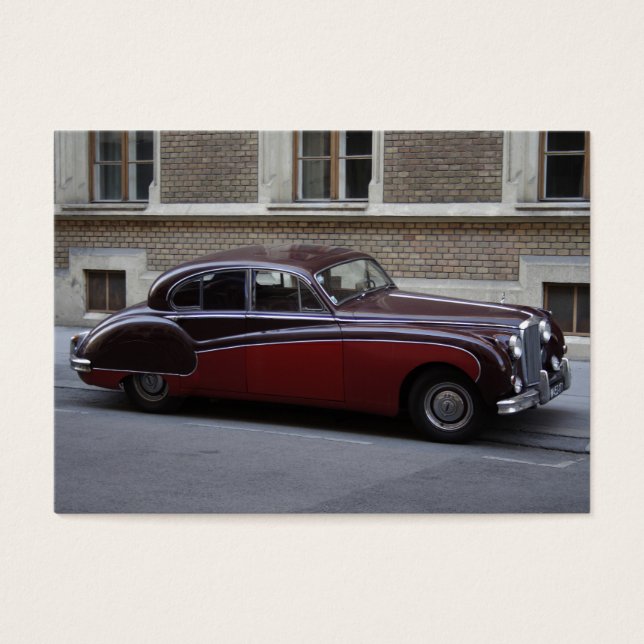 Marca jaguar roja IX (Frente)