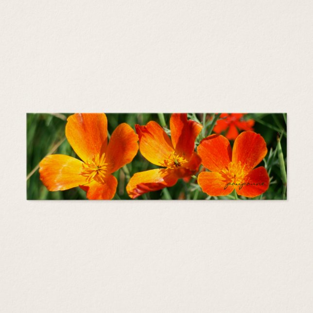 Marcador de 3 hermanas (Frente)