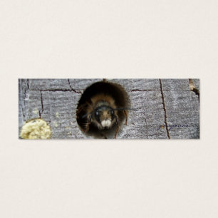 marcador de abejas ocupado