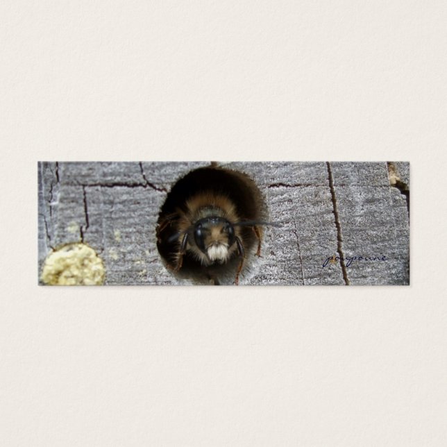 marcador de abejas ocupado (Frente)