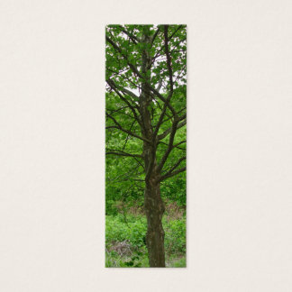 Marcador de árbol de talas