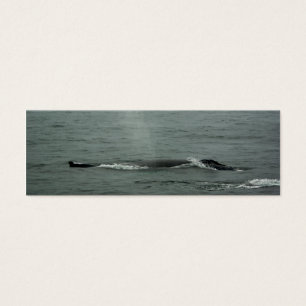 Marcador de ballena jorobada