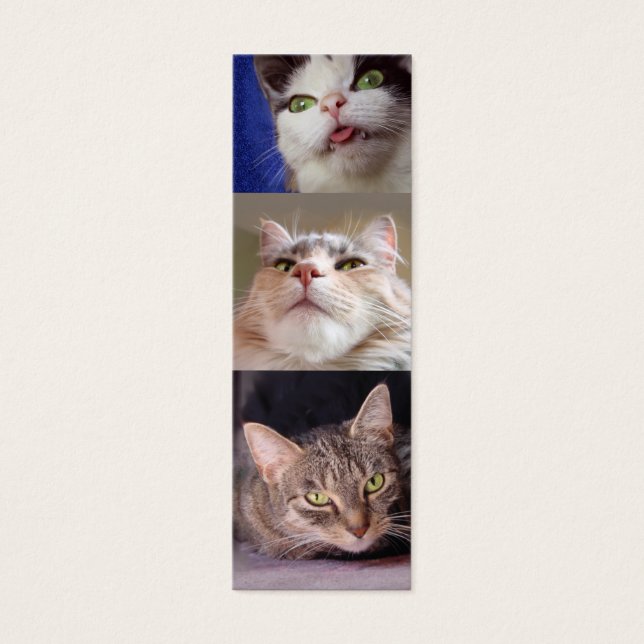 Marcador de Catlovers (Frente)