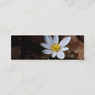 Marcador de flor silvestre / Tarjeta de contacto
