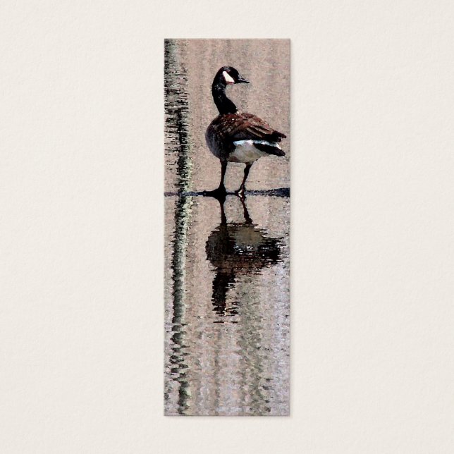 Marcador de ganso de Canadá (Frente)