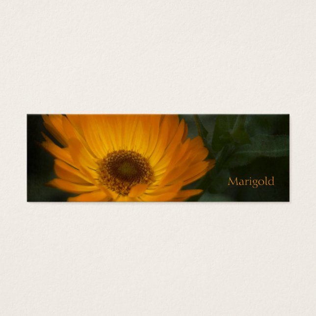 Marcador de Marigold (Frente)